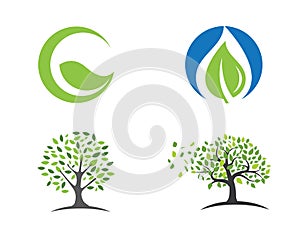 Logos of green leaf ecology nature