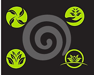 Logos green leaf ecology nature element vector icon