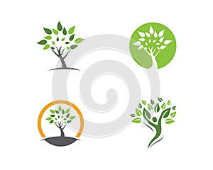 Logos of green tree leaf ecology