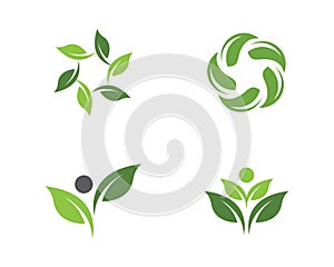 Logos of green tree leaf ecology