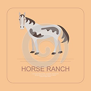 Logotype of horse ranch