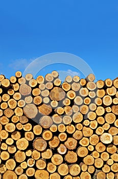 Logs