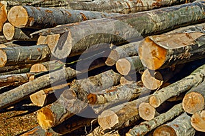 Logs