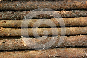 Logs