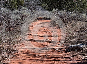 Logs Across Taylor Creek Dirt Trail