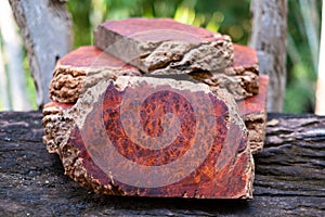 Logs Amboyna burl wood photo