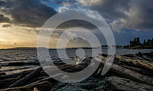 Logs on a beach in the Pacific Northwest at sunrise