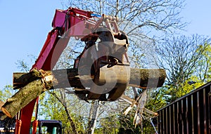 Logs being loaded from Tree hydraulic manipulator tractor