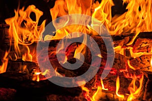 Logs and branches burning in a wood fire