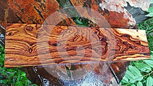 Logs of Burmese rosewood, Exotic cocobolo wood beautiful pattern For Crafts