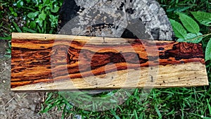 Logs of Burmese rosewood, Exotic cocobolo wood beautiful pattern For Crafts