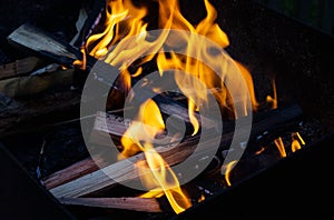 Logs burn in a bonfire close up