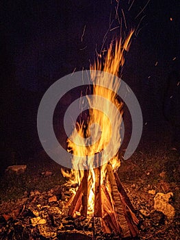 logs burning in camp fire