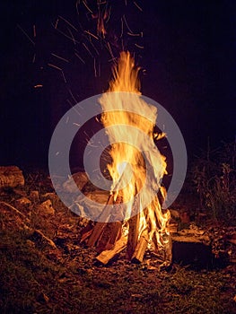 logs burning in camp fire