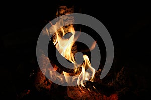 Logs burning in a desert campfire