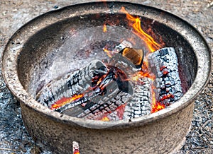 logs burning in fire pit camping flames