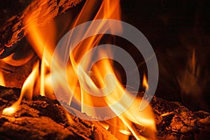 Logs burning in an outdoor campfire