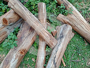 Details wood and Useless old logs can be made into firewood.