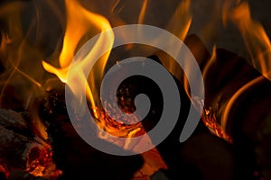Logs and coal on fire