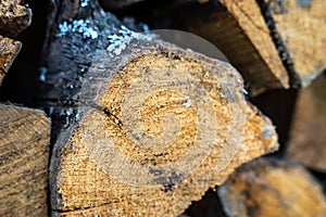 The logs of fire wood macro closeup photo