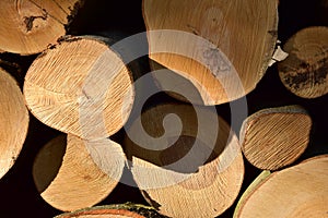 Logs of fire woods.