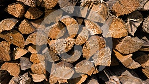 Logs of firewood neatly layered in the woodpile