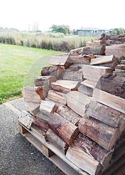 Logs for firewood strack, nature truck tree