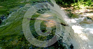 Logs float towards the waterfall on the flooded river