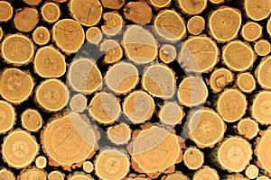 Logs for heating