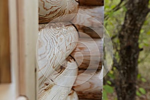 Logs of a log house made of pine for the construction of a wooden house.