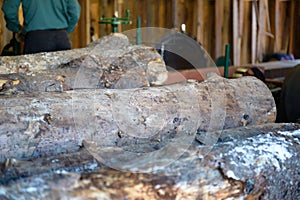Logs in a Lumber Mill