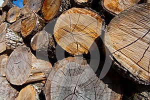 Logs, Posada de Valdeon, Leon photo