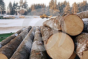 The logs are prepared for transport .