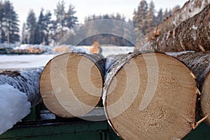 The logs are prepared for transport .