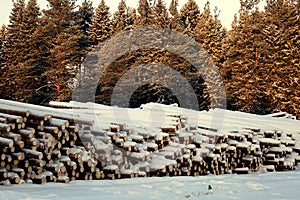 The logs are prepared for transport .