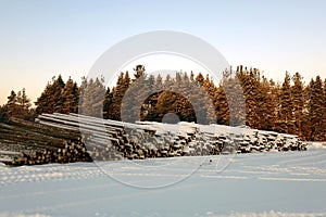 The logs are prepared for transport .