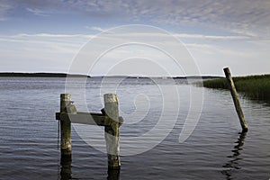 Logs of remains of the old, wooden pier, in the water,