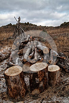 Logs for the ritual fire for the ritual of shamans of Khakassia