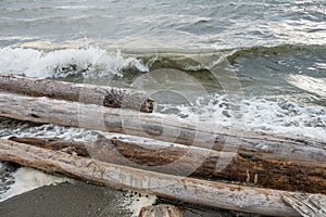 Logs And Shorebreak