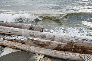 Logs And Shorebreak photo