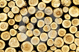 Logs stacked