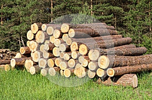 Logs are stacked. sawing logs into boards. construction of a house from a bar.