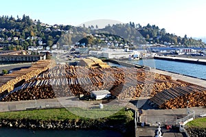 Logs stacked up waiting to be shipped in the USA