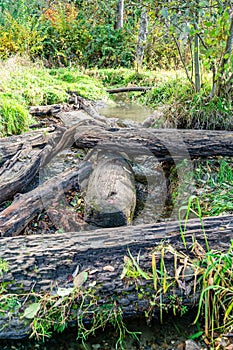 Logs And Stream