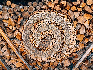 Logs of a tree. The sawn wood