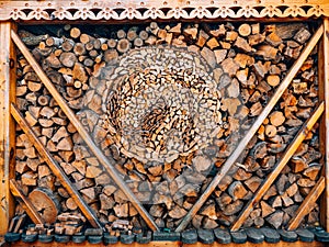 Logs of a tree. The sawn wood