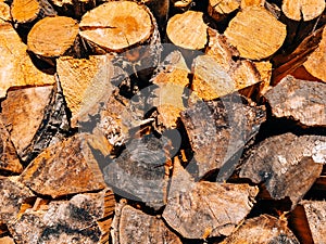 Logs of a tree. The sawn wood