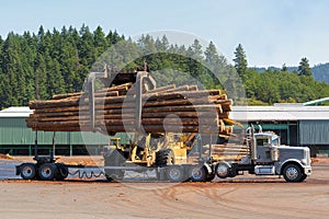 Logs Unloading Off Truck in Lumber Yard