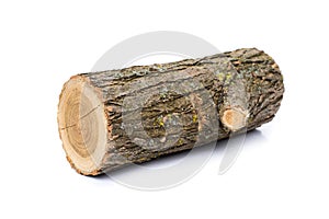 Logs on white background, studio photo, acacias tree