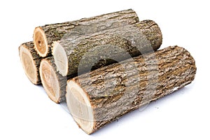 Logs on white background, studio photo, acacias tree